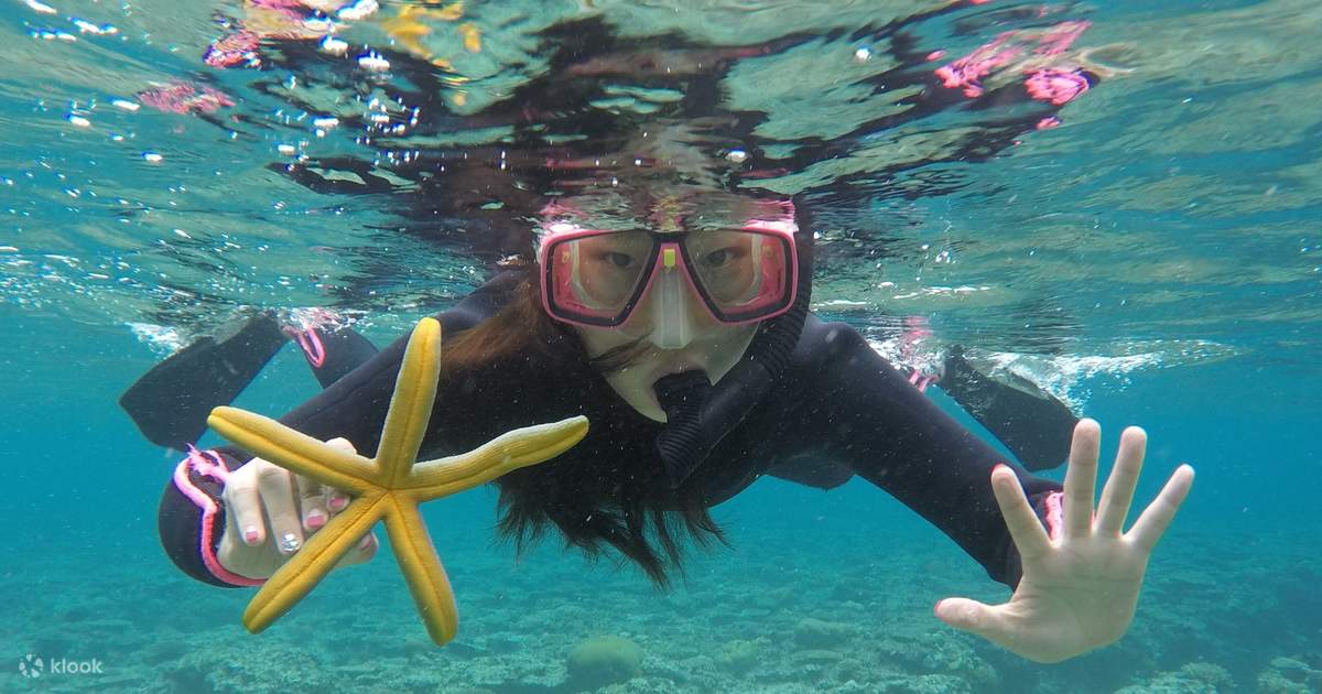 GOA  Travel News Tips and Guides  Condé Nast Traveller India